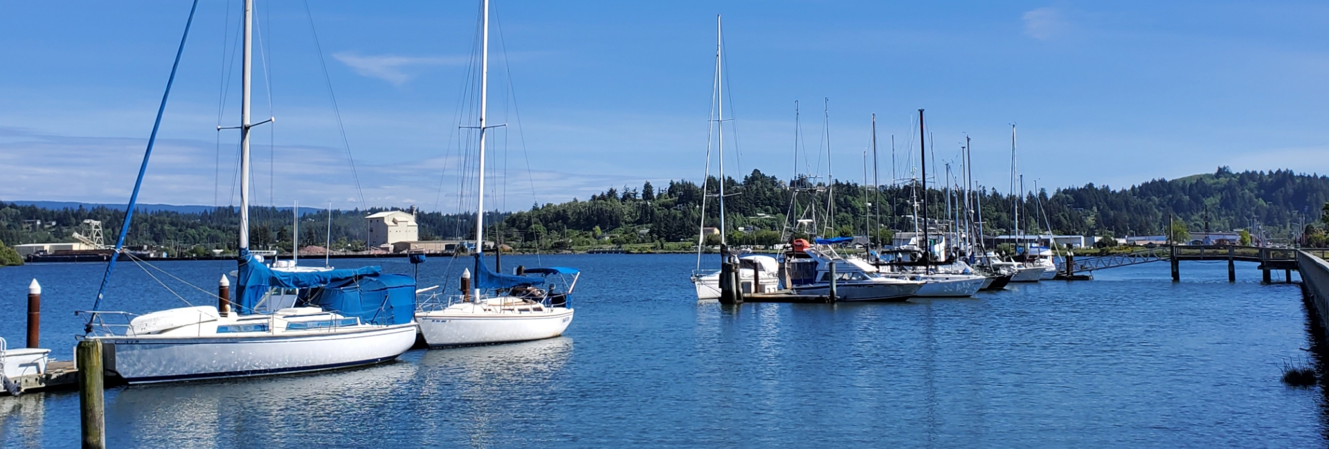 Boats at City Docks