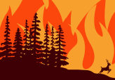 Wildfire Thumb