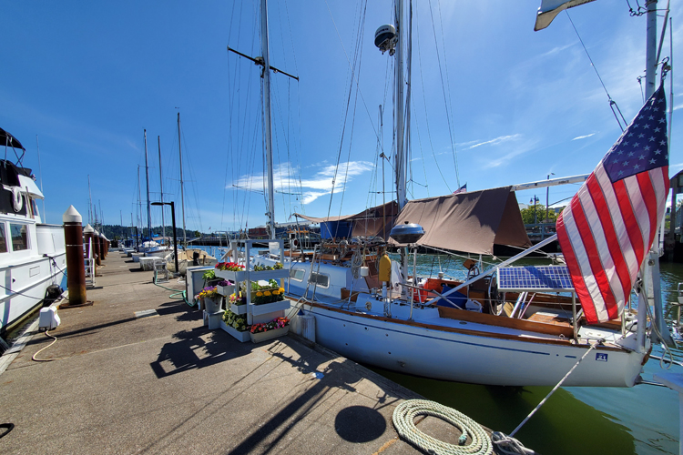 Summer_Wind_20220601